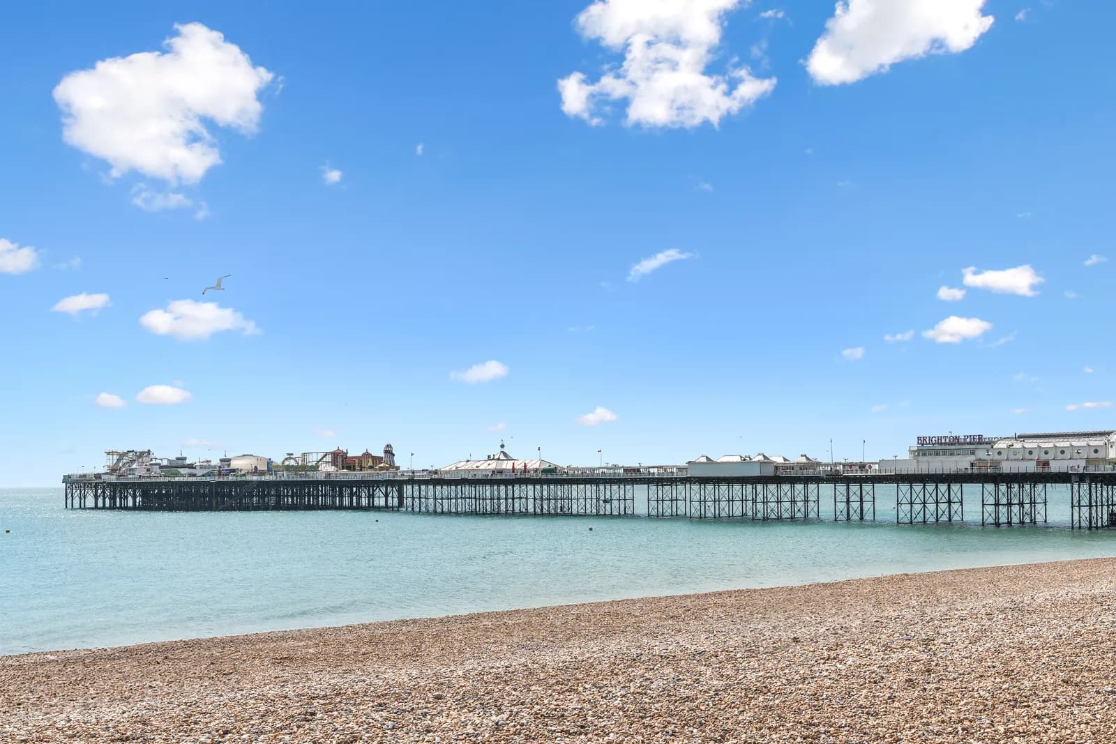 Best Beaches in Brighton: 2026 Local Guide